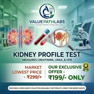 Kidney Profile Test (KFT/Renal Function Test)